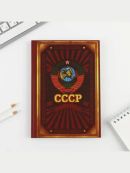 бордовый