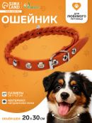 оранжевый