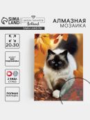 разноцветный