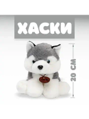 белый, серый
