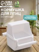 белый