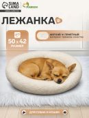 белый