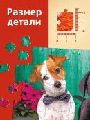 разноцветный
