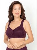 сливовое вино