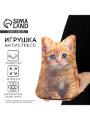 разноцветный
