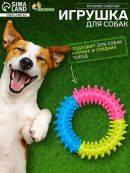 разноцветный