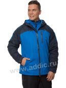 василек с темно-синим