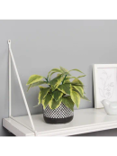 зеленый