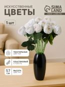 белый