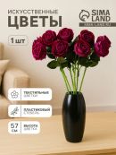 фиолетовый