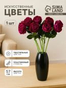 фиолетовый