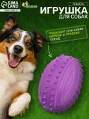 фиолетовый