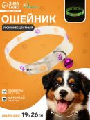 прозрачный