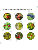 зеленый
