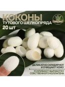 белый
