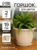 бежевый