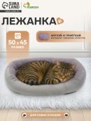 серый