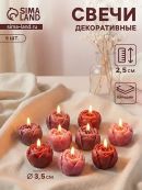 розовый, фиолетовый