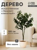 зеленый