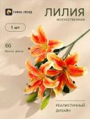 оранжевый