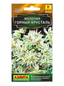 белый, зеленый