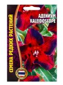 бордовый