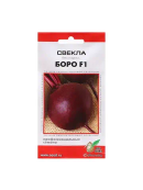 бордовый
