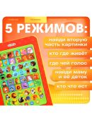 разноцветный