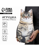 бежевый, коричневый