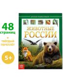разноцветный