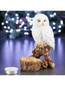 белый, коричневый