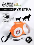 оранжевый