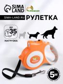 оранжевый