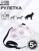 разноцветный