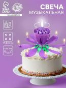 фиолетовый