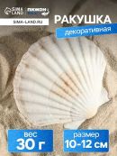 бежевый