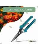 красный, черный