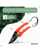 серый, оранжевый