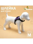 фиолетовый