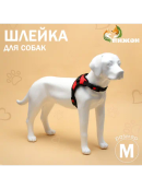 красный