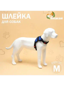 синий