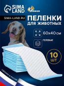 белый, голубой