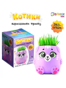 фиолетовый