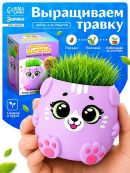 фиолетовый