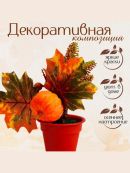 зеленый, оранжевый