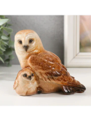 коричневый, разноцветный