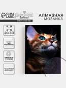 разноцветный