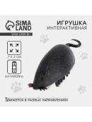серый
