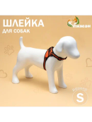оранжевый