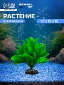 сиреневый, разноцветный